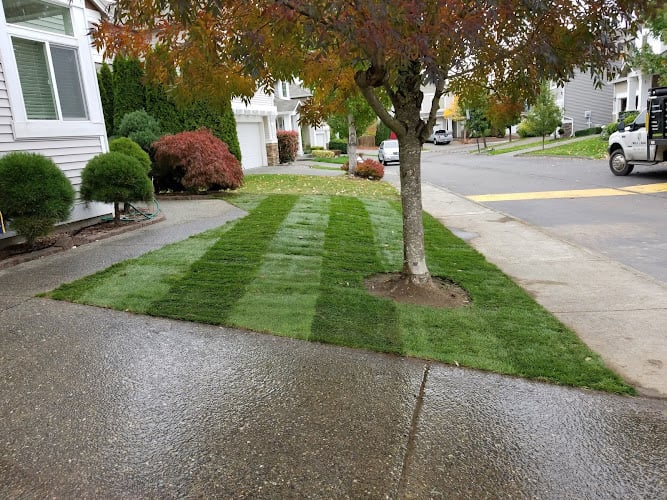 Contractor Wolf and Sons Lawn and Landscaping Services LLC in Renton WA