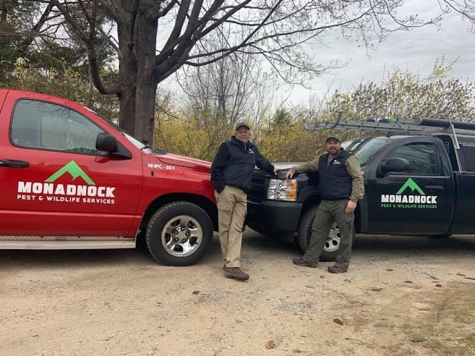 Monadnock Pest & Wildlife LLC