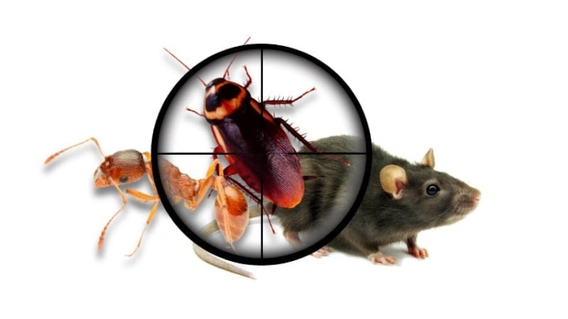 Contractor A-L-S Pest Control in Covington KY