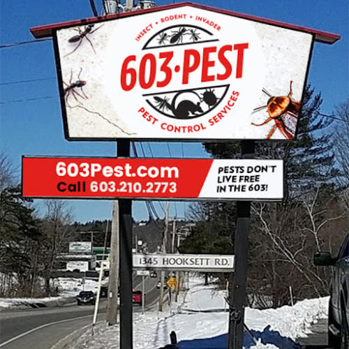 Contractor 603 Pest Control Services- A Division of Modern Pest in Hooksett NH