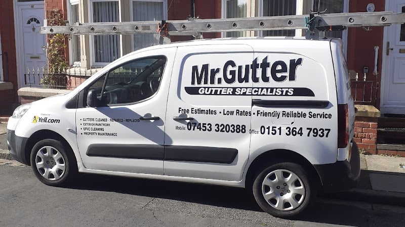 Mr Gutter