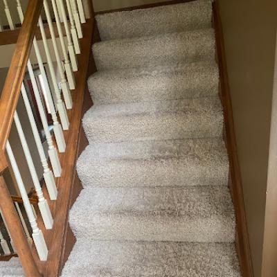 Absolute Steam Carpet