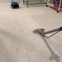 Lovejoy Carpet Care