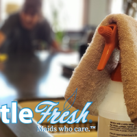 Castle Fresh House Cleaning