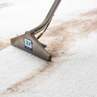 Contractor Zerorez Carpet Cleaning Orlando in Orlando FL