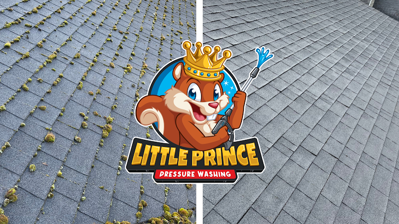 Contractor Little Prince Pressure Washing in Tigard OR