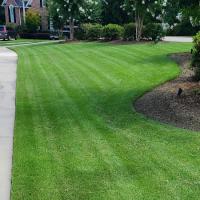 Home Pro Lawn Services