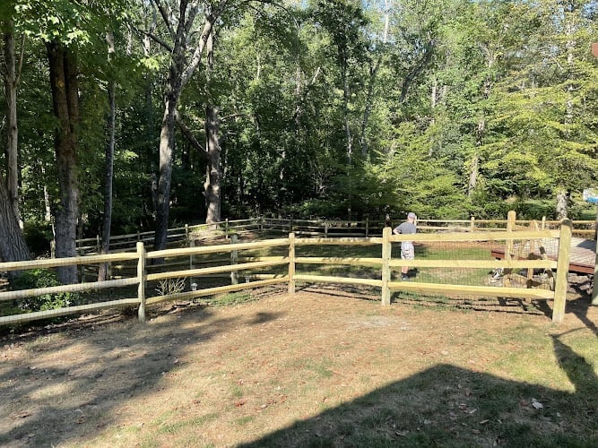 Coastal Fence