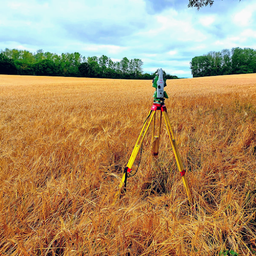 Contractor Castle Surveys Ltd in Ashby-de-la-Zouch England